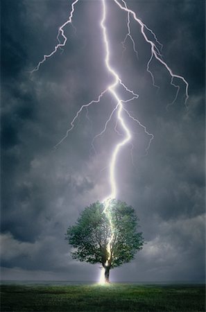 Foudre frappant l'arbre Photographie de stock - Rights-Managed, Code: 700-00033953