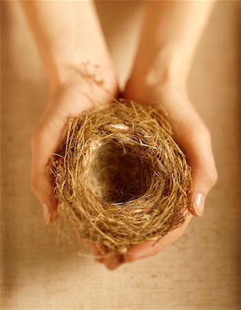 Hands Holding Empty Nest Stock Photo - Rights-Managed, Code: 700-00044769