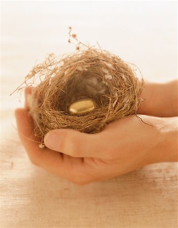 simsearch:632-03651833,k - Hands Holding Nest with Golden Egg Stock Photo - Rights-Managed, Code: 700-00044772