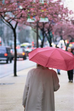 Woman Walking in Rain, Vancouver British Columbia, Canada Stock Photo - Rights-Managed, Code: 700-00044862
