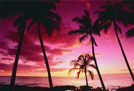simsearch:700-00058786,k - Poipu Beach at Sunset Kauai, Hawaii, USA Foto de stock - Con derechos protegidos, Código: 700-00045527