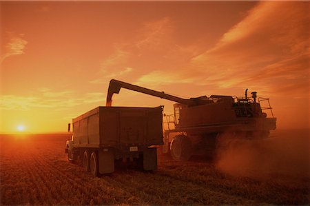 simsearch:700-00019815,k - Kombinieren und Korn-LKW bei Sonnenuntergang Three Hills, Alberta, Kanada Stockbilder - Lizenzpflichtiges, Bildnummer: 700-00045883