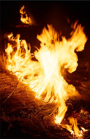 simsearch:633-01574195,k - Gros plan du feu d'herbe dans la nuit Photographie de stock - Rights-Managed, Code: 700-00045920