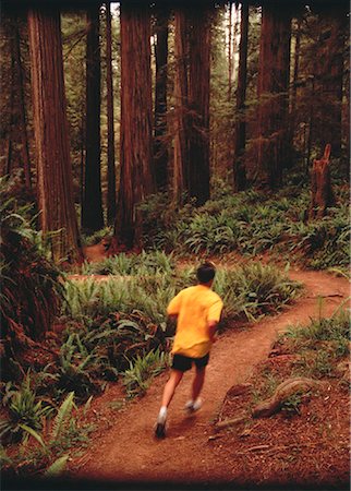 forêt de séquoias - Vue arrière de l'homme en cours d'exécution sur le chemin à travers les arbres Photographie de stock - Rights-Managed, Code: 700-00048069