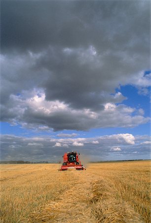 Combine Harvesting Grain Rosser, Manitoba, Canada Stock Photo - Rights-Managed, Code: 700-00048383