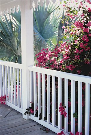 simsearch:700-00080625,k - Porch and Flowers Bahamas Stock Photo - Rights-Managed, Code: 700-00048615