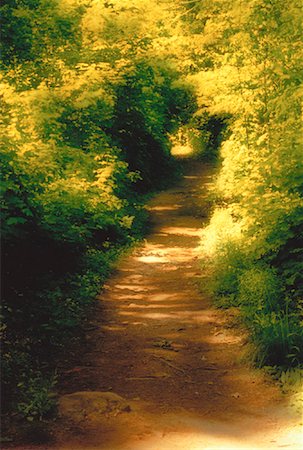 Path through Forest Gatineau Park Quebec, Canada Foto de stock - Con derechos protegidos, Código: 700-00048684