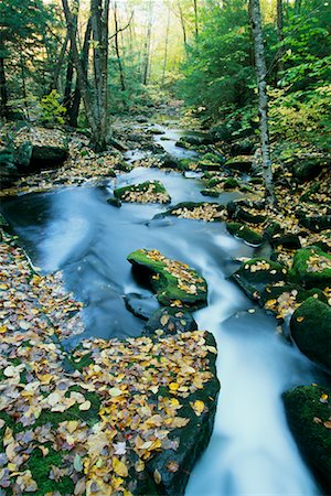 Klaxton Creek in Autumn Haliburton, Ontario, Canada Stock Photo - Rights-Managed, Code: 700-00040042