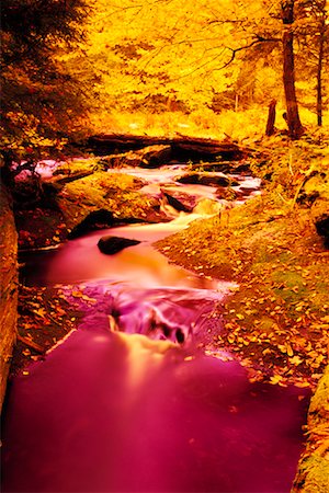 Klaxton Creek in Autumn Haliburton, Ontario, Canada Stock Photo - Rights-Managed, Code: 700-00040096