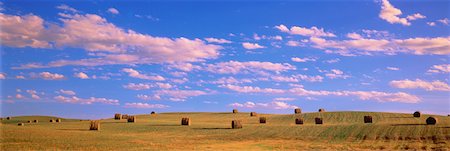 simsearch:600-00172228,k - Balles de foin au champ Rumsey, Alberta, Canada Photographie de stock - Rights-Managed, Code: 700-00040498