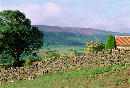 North York Moors Yorkshire, Angleterre Photographie de stock - Rights-Managed, Code: 700-00040547