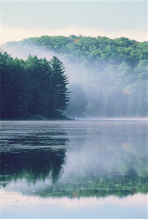 Claypack Lake and Trees Haliburton, Ontario, Canada Stock Photo - Rights-Managed, Code: 700-00040745