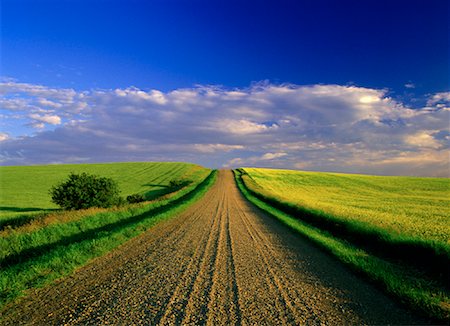 simsearch:700-00041071,k - Dirt Road and Sky Near Elk Point, Alberta, Canada Stock Photo - Rights-Managed, Code: 700-00040913