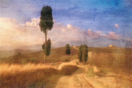 Cypress Trees Near Pienza, Tuscany, Italy Stock Photo - Rights-Managed, Code: 700-00041678