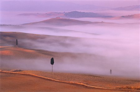 simsearch:700-01764794,k - Zypressen und Nebel im Morgengrauen in der Nähe von Pienza, Toskana, Italien Stockbilder - Lizenzpflichtiges, Bildnummer: 700-00041915
