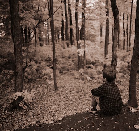 Vue arrière du garçon assis dans les bois en automne Photographie de stock - Rights-Managed, Code: 700-00042032