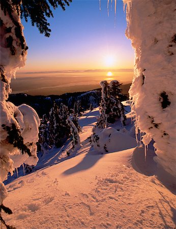 Arbres dans les montagnes de côte des neiges, en Colombie-Britannique Canada Photographie de stock - Rights-Managed, Code: 700-00042659