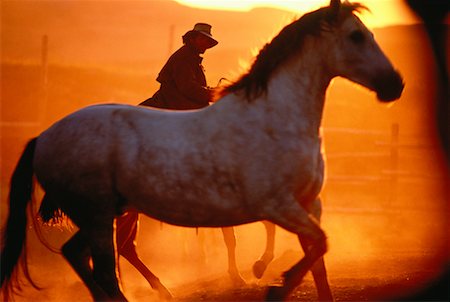 simsearch:700-00019979,k - Cow-boy à cheval, les chevaux de Coralling au coucher du soleil Photographie de stock - Rights-Managed, Code: 700-00042865