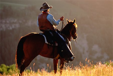simsearch:700-00078626,k - Back View of Cowboy Riding Horse Stock Photo - Rights-Managed, Code: 700-00042866
