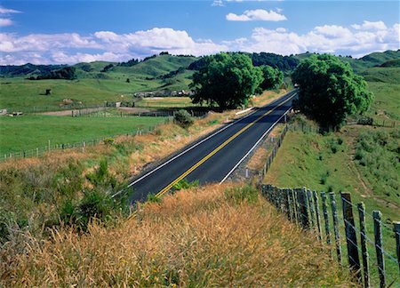 scenic north island roads - Countryside and Road Near Murupara, North Island New Zealand Stock Photo - Rights-Managed, Code: 700-00042900