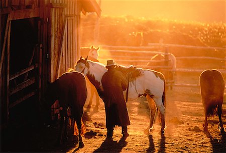simsearch:700-00019979,k - Cow-boy à Stable au coucher du soleil Photographie de stock - Rights-Managed, Code: 700-00042938