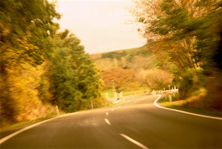 scenic north island roads - Road and Trees North Island, New Zealand Stock Photo - Rights-Managed, Code: 700-00042972