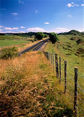 scenic north island roads - Countryside and Road Near Murupara, North Island New Zealand Foto de stock - Con derechos protegidos, Código: 700-00042991