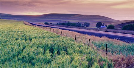 simsearch:600-00007189,k - Farmland at Dusk Near Walla Walla, Washington, USA Stock Photo - Rights-Managed, Code: 700-00043114