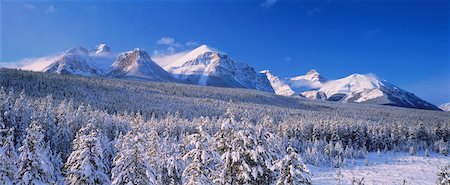panoramic alberta pictures - Bow Range in Snow, near Lake Louise, Banff National Park Alberta, Canada Stock Photo - Rights-Managed, Code: 700-00043675