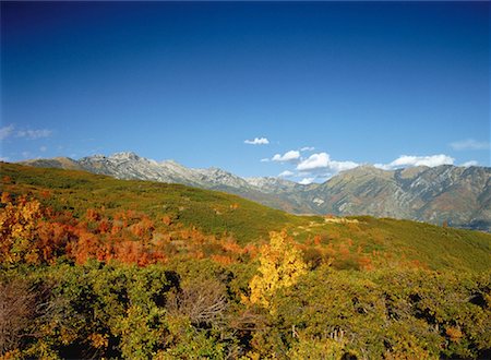 simsearch:700-00050713,k - Vue d'ensemble des arbres et les montagnes en automne Utah, USA Photographie de stock - Rights-Managed, Code: 700-00054478