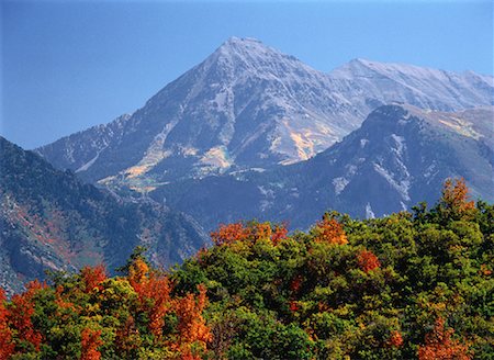simsearch:700-00050713,k - Montagnes et les arbres en automne Utah, USA Photographie de stock - Rights-Managed, Code: 700-00054473