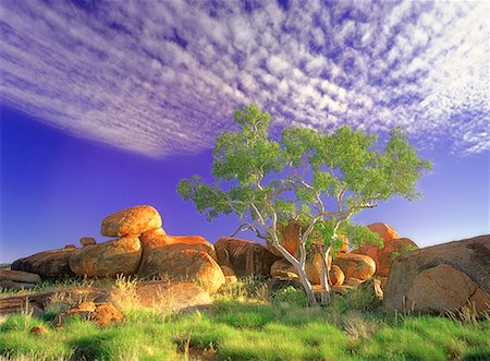 Devil's Marbles and Gum Tree Northern Territory, Australia Foto de stock - Con derechos protegidos, Código: 700-00054817