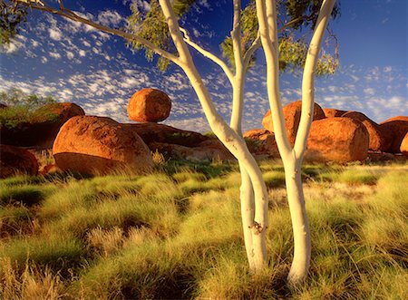 simsearch:600-00824584,k - Gum Tree and Devil's Marbles Northern Territory, Australia Stock Photo - Rights-Managed, Code: 700-00054918