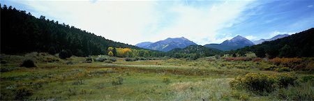 simsearch:700-00076891,k - Übersicht über die Landschaft im Herbst Colorado, USA Stockbilder - Lizenzpflichtiges, Bildnummer: 700-00054967