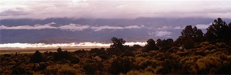 simsearch:700-00040860,k - Vue d'ensemble du paysage et de brouillard est en Californie, USA Photographie de stock - Rights-Managed, Code: 700-00054975