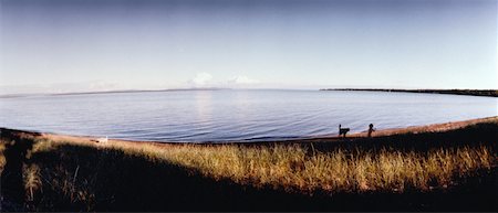 Child and Dog near Water Batchawana Bay, Ontario, Canada Stock Photo - Rights-Managed, Code: 700-00056822