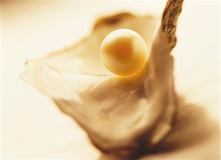 pearl oyster shell - Close-Up of Pearl in Oyster Stock Photo - Rights-Managed, Code: 700-00056879