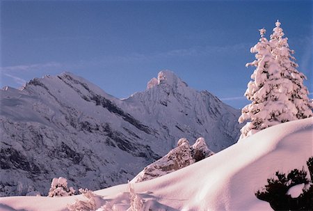 simsearch:700-00425302,k - Snow Covered Mountains and Trees Switzerland Foto de stock - Con derechos protegidos, Código: 700-00057258