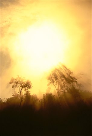 solar power photographs thailand - Silhouette of Trees at Sunrise Thaton, Thailand Foto de stock - Con derechos protegidos, Código: 700-00059155