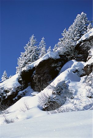 simsearch:700-00425302,k - Overview of Snow Covered Trees And Landscape Jungfrau Region, Switzerland Foto de stock - Con derechos protegidos, Código: 700-00059558