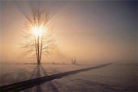 simsearch:700-02738081,k - Sunrise over Landscape in Winter Ottawa, Ontario, Canada Foto de stock - Direito Controlado, Número: 700-00059667