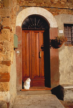 Seuils de porte et Cat, Toscane, Italie Photographie de stock - Rights-Managed, Code: 700-00050140