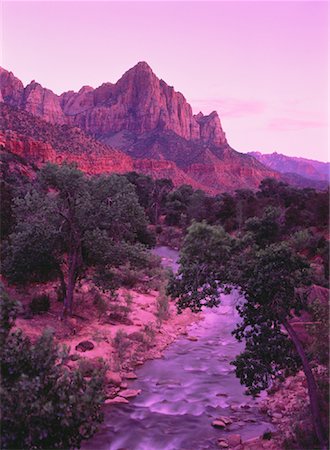 simsearch:700-00050320,k - Der Wächter, Virgin River Zion Nationalpark, Utah, USA Stockbilder - Lizenzpflichtiges, Bildnummer: 700-00050319