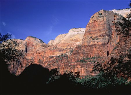 simsearch:700-00050320,k - Die Orgel, weinend Rock Lookout Zion Nationalpark, Utah, USA Stockbilder - Lizenzpflichtiges, Bildnummer: 700-00050324