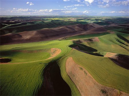 simsearch:6113-06498416,k - Vue aérienne de la Palouse Hills Colfax, Washington, Etats-Unis Photographie de stock - Rights-Managed, Code: 700-00050357