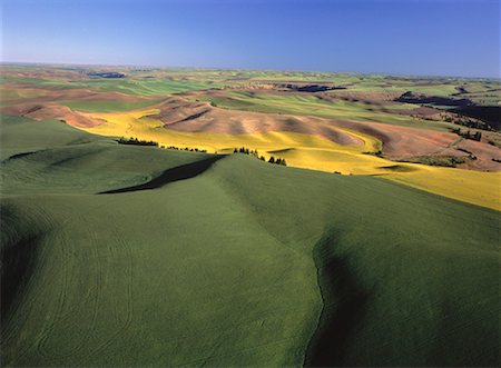 simsearch:600-03445378,k - Vue aérienne de la Palouse Hills Colfax, Washington, Etats-Unis Photographie de stock - Rights-Managed, Code: 700-00050358