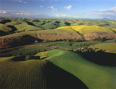 simsearch:6113-06498416,k - Vue aérienne de la Palouse Hills Colfax, Washington, Etats-Unis Photographie de stock - Rights-Managed, Code: 700-00050362