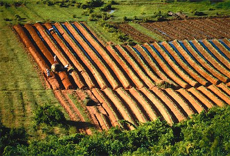 simsearch:700-00050711,k - Workers in Field The Pass of the Clouds Hue, Vietnam Stock Photo - Rights-Managed, Code: 700-00050706