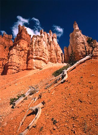 pinnacles desert - Hoodoos Bryce Canyon National Park Badlands, Utah, USA Foto de stock - Con derechos protegidos, Código: 700-00051236