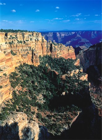 simsearch:700-00015280,k - Vue d'ensemble du Grand Canyon National Park, Cape royale, North Rim en Arizona, USA Photographie de stock - Rights-Managed, Code: 700-00052184